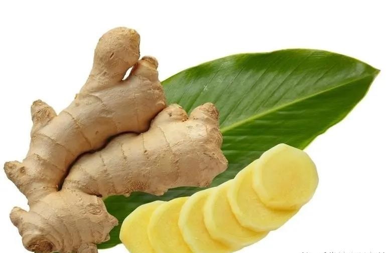 盘点日常生活中的那些有用的养发调料